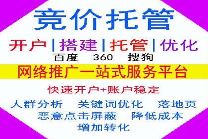 某行业领军企业的SEM广告投放策略