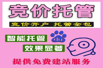 百度推广代运营的创意策略：打造独特品牌形象